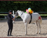 2-13JUIN 0010
